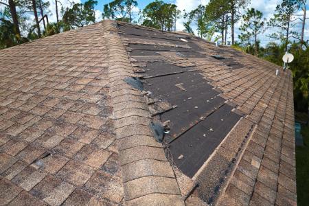 Common Causes of Roof Damage in Culpeper