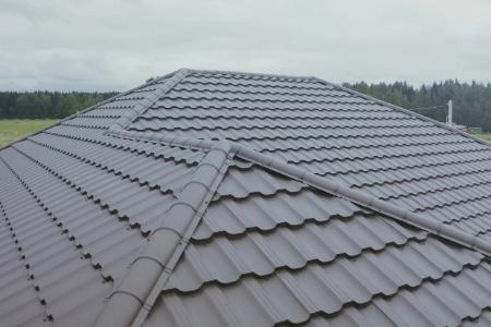 Metal Roofing